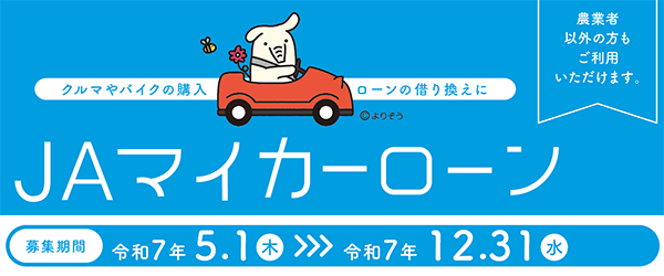 マイカーローン１