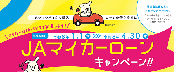 マイカーローン１