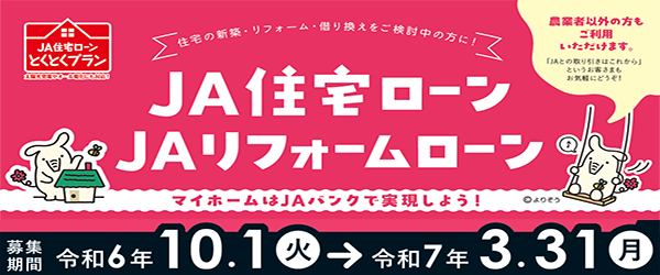 新とくとくプラン