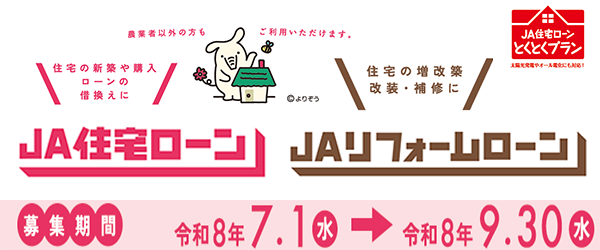 新商品とくとくプラン