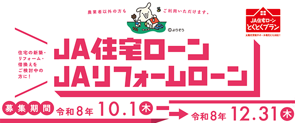 新商品とくとくプラン